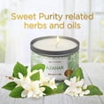 thumbnail image 3 of Magnificent 101 Long Lasting Flower Tin Candles with AZAHAR Orange Blossom Scented | 6 Oz - 35 Hour Burn | Made of Natural Soy Wax for Manifestation, Purification & House Energy Cleansing, 3 of 5