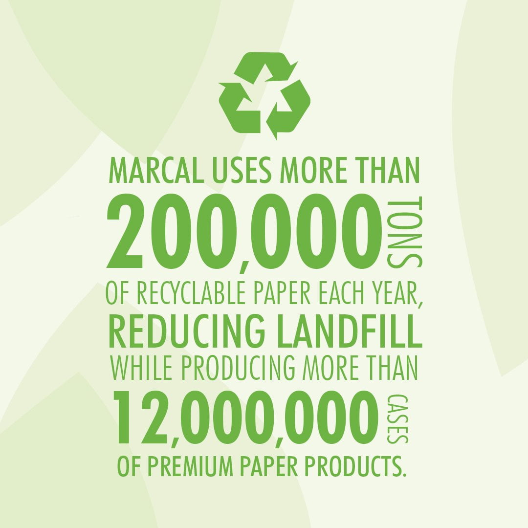 Eco Friendly 100% Recycled Toilet Paper, 2 Ply Bath Tissue 242 Sheets Per Roll, 48 Rolls Individually Wrapped,No Dyes, White