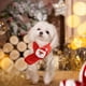 thumbnail image 4 of Bufanda de punto para mascotas, cálida diadema para perros pequeños y medianos, ideal para decoración navideña y de invierno., 4 of 5