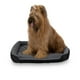 thumbnail image 3 of Cama para Perro, Resistente, Confortable, con Relleno Suave, Medidas y Color a Elegir, 3 of 9