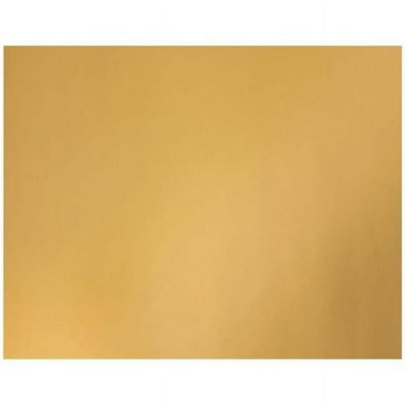 22 x 18 in. Metallic Poster Board, Gold - Pack of 25