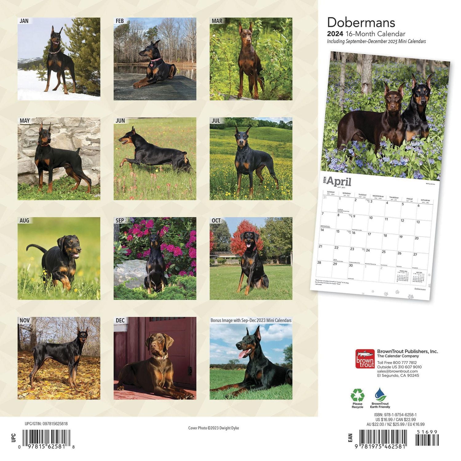 BrownTrout Dobermans 2024 12x24 Inch Square Wall Calendar, 9781975462581