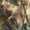 Mossy Oak® Obsession®, variant on DSG Women's Ella 3.0 Camo Jacket Mossy Oak Obsession MEDIUM