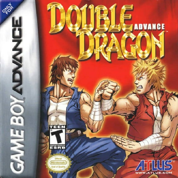Restored Double Dragon Advance (Nintendo GameBoy Advance, 2003) Fighting Game (Refurbished)