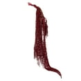 thumbnail image 4 of Vickerman 30" Merlot Amaranthus Bundle, Preserved, 4 of 4