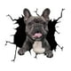 thumbnail image 2 of de mascota realistas Calcomanías de grietas para autos estáticas de para mascotas Durable 3D Ventana divertida Se aferra C BLESIY Pegatinas de ventana, 2 of 6