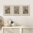 thumbnail image 3 of PixonSign Framed Canvas Print Wall Art Set - Brown and White Sepia Forest Flowers Posters - Set of 3 Pastel Nature Floral Farmhouse/Country Vintage Wall Décor for Bedroom, Office - 11"x14" Natural, 3 of 5