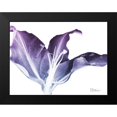 thumbnail image 2 of Koetsier, Albert 18x15 Black Modern Framed Museum Art Print Titled - Radiant Blossom 2, 2 of 5