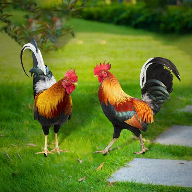estacas de patio sharpla estatua de animal de gallo decoración de pascua estilo a y estilo b Estacas de jardín Sharpla en acrílico con forma de gallo, vista frontal de dos piezas estilo A (10.8 cm x 25 cm) y B (16.7 cm x 21.5 cm) insertadas en césped; silueta erguida con cresta y cola arqueada, diseño de estaca para clavar en tierra, indicada para decorar patio, jardín, camino o césped; a menudo usada también como adorno de Pascua.