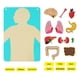 thumbnail image 2 of Kits de juegos interactivos educativos de órgano corporal, rompecabezas de estructura del cuerpo humano para colgar en la pared para niños en edad, 2 of 9