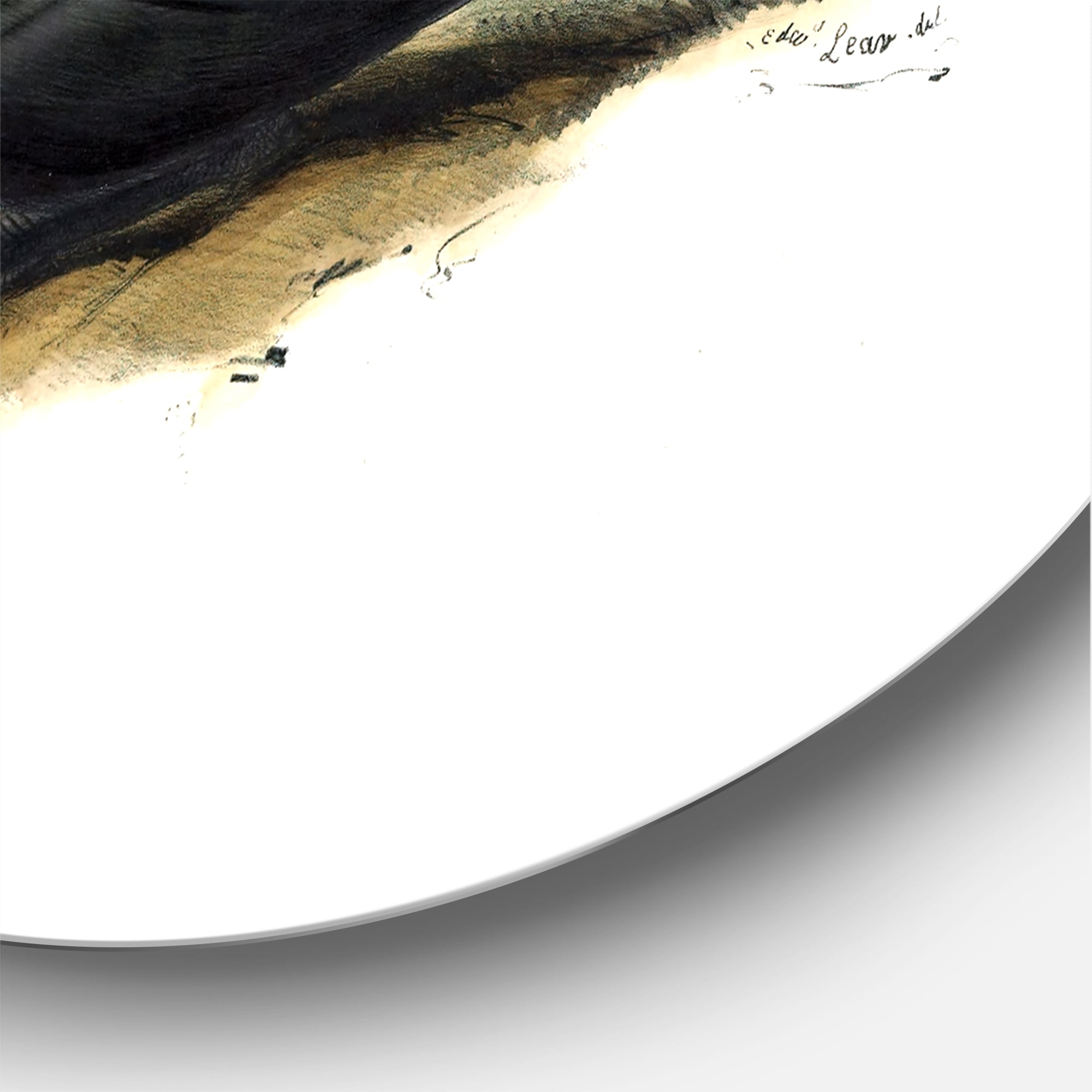 Designart 'Ancient Bird Life IV' Traditional Circle Metal Wall Art 11x11 - Disc of 11