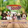 thumbnail image 5 of Regal Dog Products Cool Designer Collars | Custom Fit Collar for Small, Medium & Large Dogs, 5 of 7