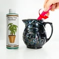 thumbnail image 4 of Liquid Money Tree Fertilizer 8oz. of Premium Concentrated Indoor and Outdoor Pachira Aquatica Fertilizer, Use with Containerized Houseplant Money Trees, 4 of 5