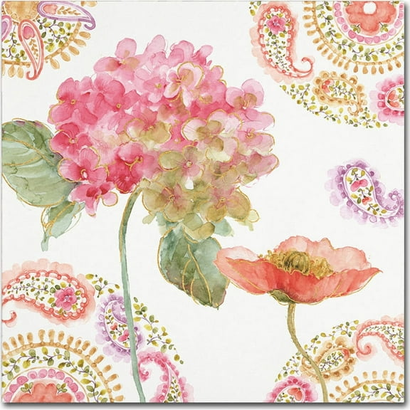 Trademark Fine Art "Rainbow Seeds Paisley II" Canvas Art by Lisa Audit