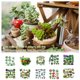thumbnail image 2 of Toystoory Suculentas falsas, accesorios para fotos, plantas decorativas simuladas, bonsái, decoraciones para el hogar, patios, césped, maceta, SET0836 Flores artificiales SET0865 paquete de 15 Toystoory HA060204-07B, 2 of 6
