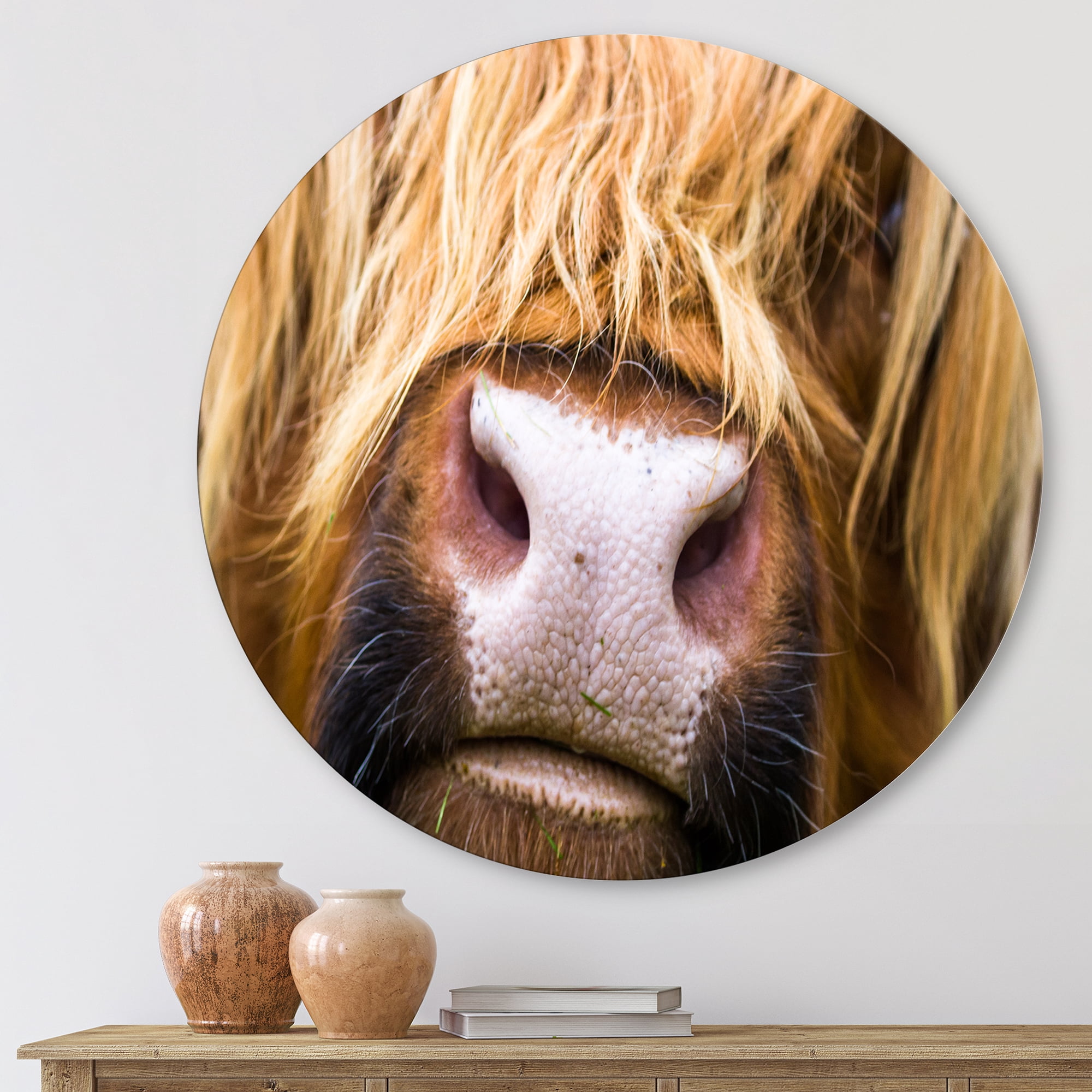 Designart 'Close-Up Highland Cattle' Farmhouse Circle Metal Wall Art 23x23 - Disc of 23