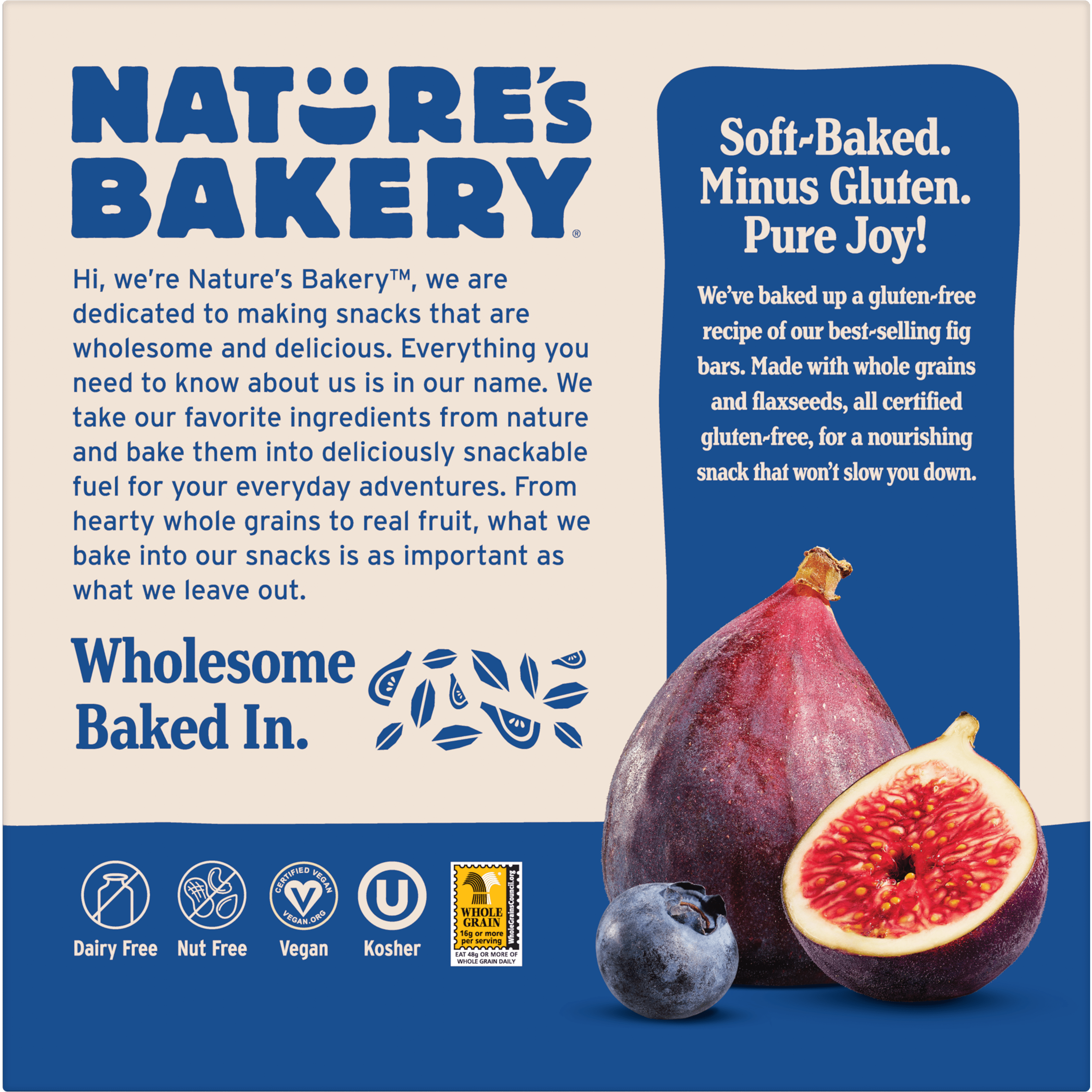 (3 pack) Nature's Bakery Gluten Free Blueberry Fig Bars, 6 Twin packs, 2 oz Each