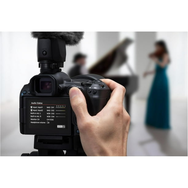 Canon EOS R5 Mark II Body - Walmart.ca