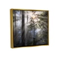 thumbnail image 3 of Stupell Industries Forest Sun Rays Nature Scenery Landscape Photography Gold Floater Framed Art Print Wall Art, 3 of 6