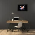 thumbnail image 4 of Gabriel, Barathieu 24x17 Black Modern Framed Museum Art Print Titled - Harlequin Shrimp, 4 of 5