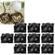 thumbnail image 5 of Dispositivo de enraizamiento de plantas ANGGREK reutilizable Bola de Cultivo ABS 12 cm, 5 of 7