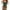 Green, variant on Avidlove Women Lingerie Set Lace Corset and Panty Sets with Garter Underwear S-XXL