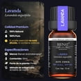 thumbnail image 5 of Aceite Esencial de Lavanda BIENAT 10mL Puro y Concentrado Ideal para Aromaterapia, 5 of 5