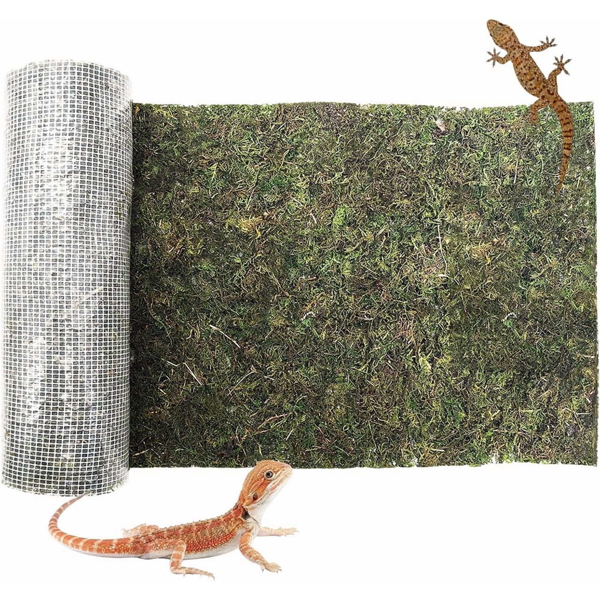 Triani 1Pcs Moss Reptile Carpet 5.9*39.4 Inch Terrarium Bedding Substrate Liner Rainforest Reptile Supplies Green Substrate Flooring Bearded Dragon Tank Accessories
