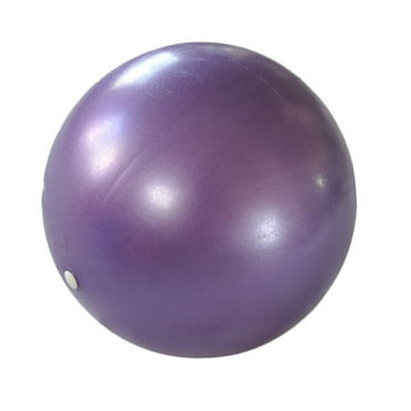 GERsome Exercise Ball Stability Ball for Fitness, Balance, Gym and Physical Therapy, Home Workout Equipment or Office Ball Chair 25cm for Core Training Exercise,Durable