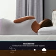 thumbnail image 5 of Sleep Innovations Hudson 12" Mattress-in-a-Box Hybrid Mattress, Queen, 5 of 9