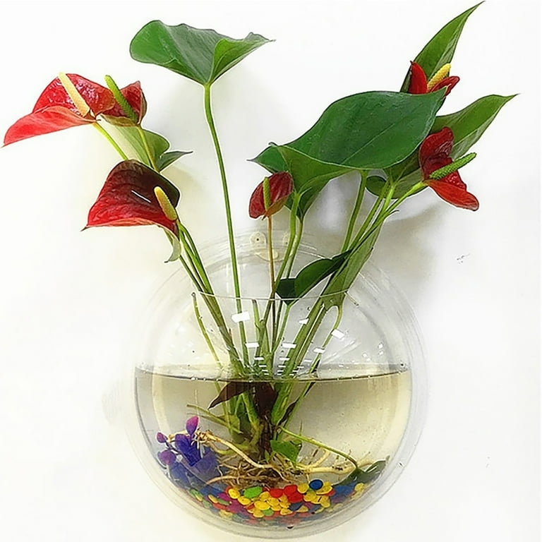 Acrylic Fish Bowl Wall Hanging Aquarium Tank Aquatic Pet Supplies Pet  Products Wall Mount Tank Mini Home Transparent Pot Plant