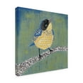 thumbnail image 2 of Trademark Fine Art 'Patchwork Wren II' Canvas Art by Grace Popp, 2 of 4