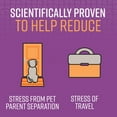 thumbnail image 2 of SENTRY Calming Chews for Dogs, 60 Count, 2 of 9
