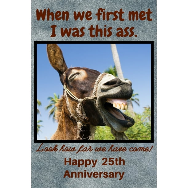 When We First Met I Was This Ass. Look How Far We Have Come! Happy 25th  Anniversary : Funny Donkey 25th Anniversary Gifts for Him and Her /  Anniversary Card / Donkey