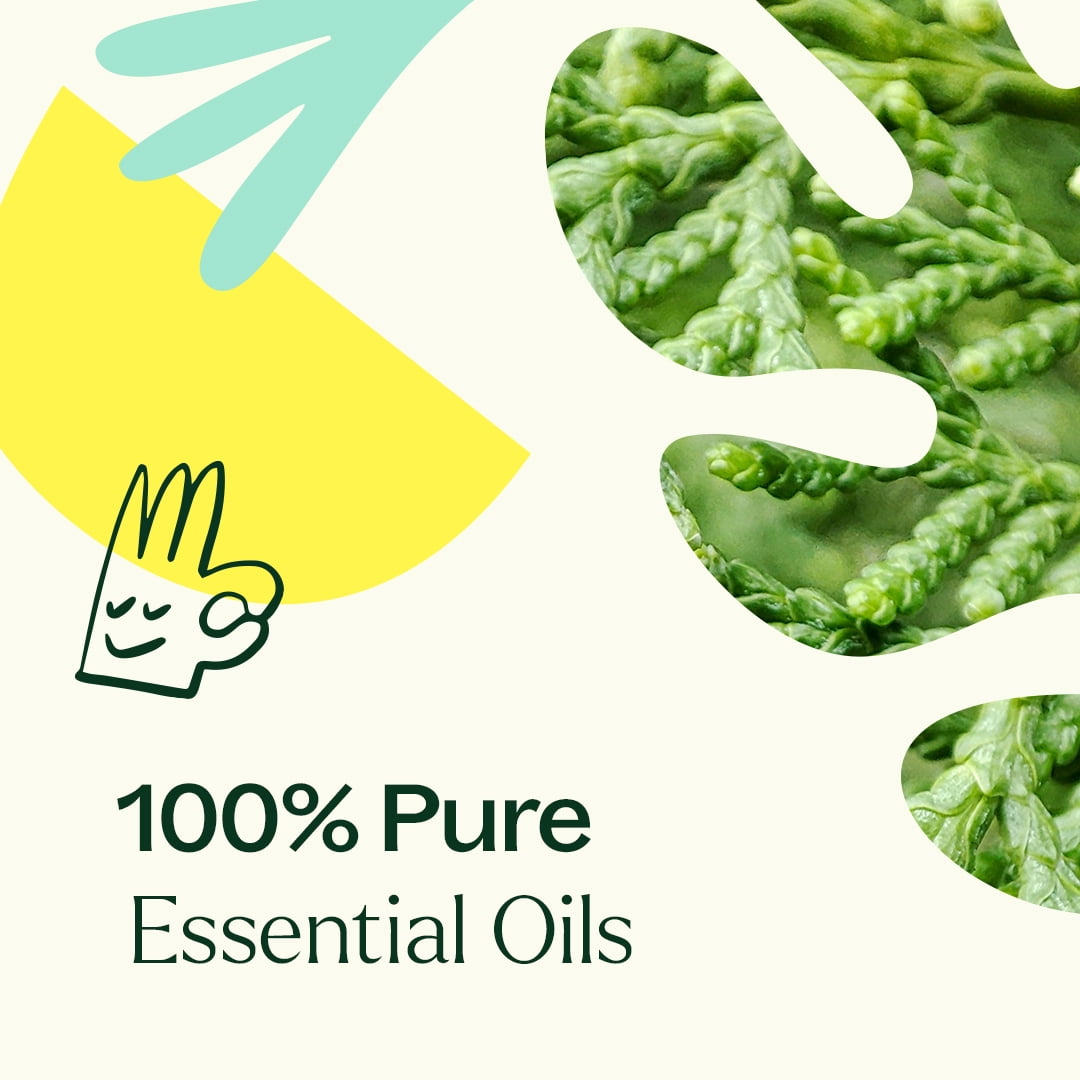 Plant Therapy Deodorizing Essential Oil Blend 100 mL (3.3 oz) 100% Pure, Undiluted, Natural Aromatherapy
