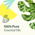 thumbnail image 5 of Plant Therapy Deodorizing Essential Oil Blend 100 mL (3.3 oz) 100% Pure, Undiluted, Natural Aromatherapy, 5 of 9