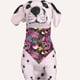 thumbnail image 3 of Toalla de saliva para mascotas para el día de San Valentín, babero para mascotas, toalla de saliva para perros, toalla de saliva para mascotas, babero para mascotas, 3 of 6