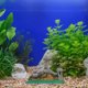thumbnail image 4 of unbranded 1Ud Adorno De Resina Para Acuario Gran Ideal Como Y, 4 of 6