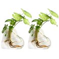 thumbnail image 1 of Wall Hanging Planter Modern: 2PCS Decorative Glass Planter Flower Vase Plant Pot, 1 of 10