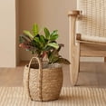 thumbnail image 6 of Basket Seagrass Basket Pot Rustic Woven Planter with Sturdy Handle Natural Decorative Storage Basket for Hotel Coffee Store Home Decor L Basket, 6 of 11