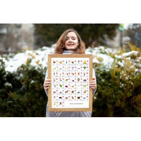 THAI Alphabet POSTER Print With Words And English Translations (16 x 20 inches)