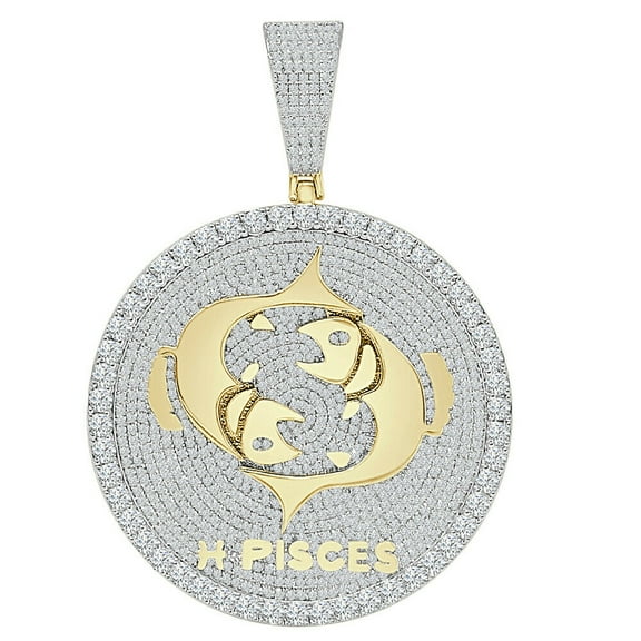 48  Grams Big XL 3'' Zodiac Sign Pisces Fish Horoscope Round Pendent Lucky Charm