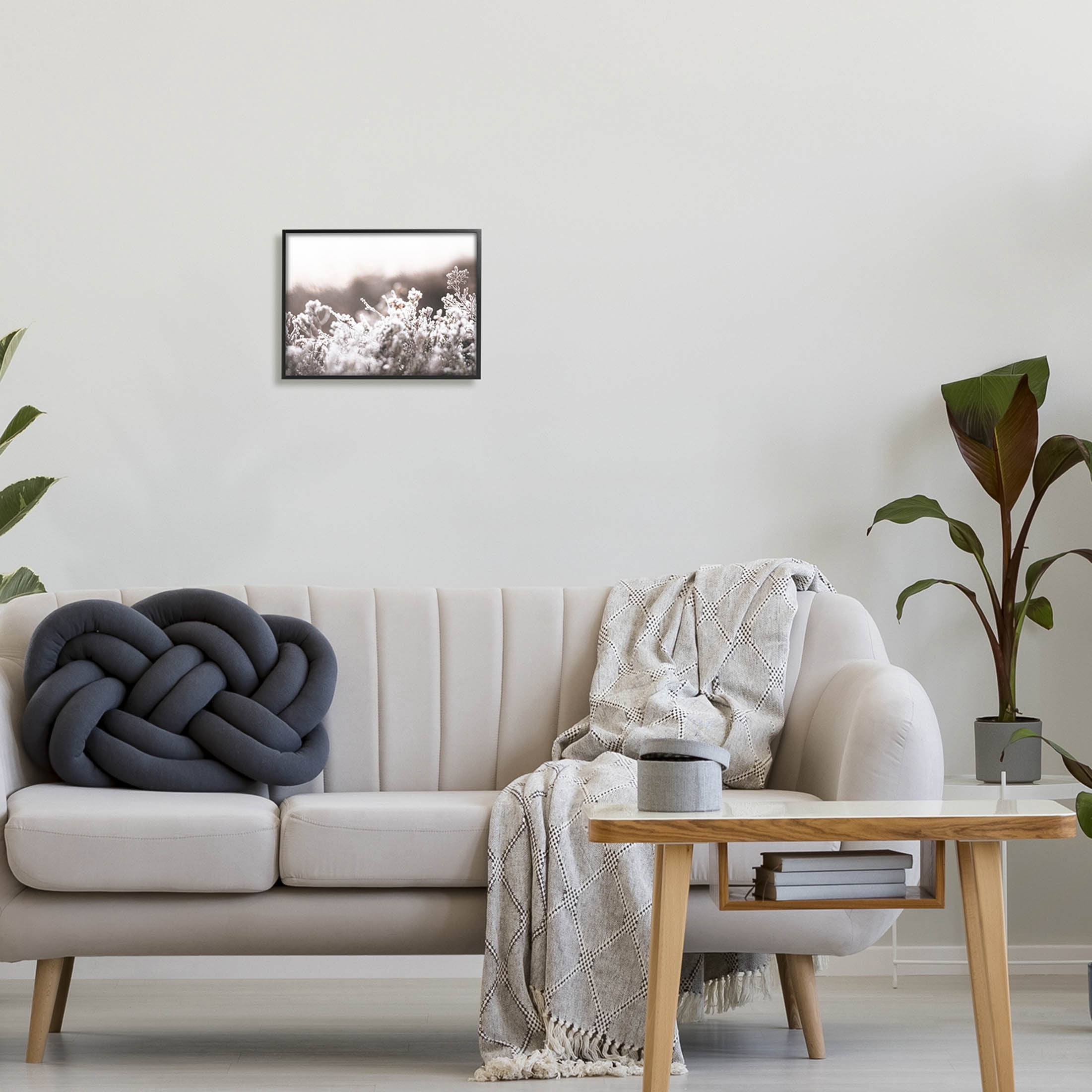 Stupell Industries Dainty Winter Blossoms Botanical Blooms Photograph Black Framed Art Print Wall Art, Design by Leah Straatsma