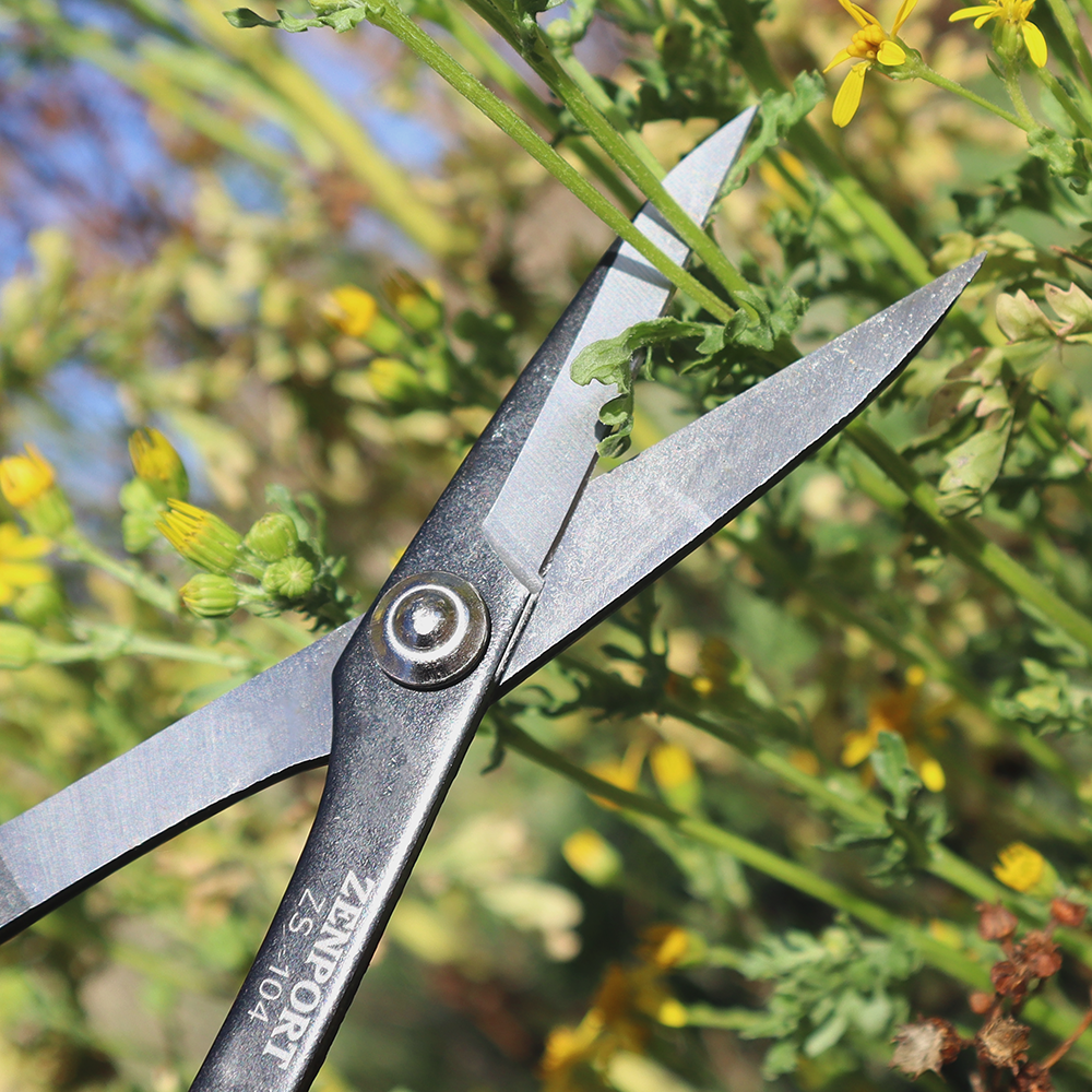 Zenport ZS104 Deluxe Scissors, Garden/Craft/Horticulture, 8-Inch Long - 12 Pack
