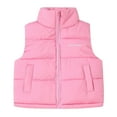 thumbnail image 5 of LIJCC Boys Girls Winter Vest Solid Color Coat Lightweight Padded Quilted Jacket Sleeveless Turtleneck Zip Up Thermal Warm Down Puffer Vests with Pocket, 5 of 6