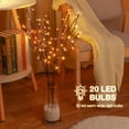 thumbnail image 2 of Árbol de abedul iluminado para decoración navideña, paquete de 4 con 20 jcociclos LED, 2 of 6