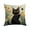 F, variant on Black Cat Pillow Covers 18x18 Inch Cute Cat Pet Animal Sun Minimalist Art Decorative Throw Pillow Covers Seasonal Holiday Farmhouse Home Sofa Living Room