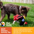 thumbnail image 4 of The Dodo Treat Dispensing Plush Dog Toy, 4 of 10