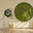 thumbnail image 6 of 4.9 Inch Artificial Moss Topiary Balls, Large Handmade Brownery Balls for Outdoor Decor, Garden, Patio, Wedding Centerpieces, and Indoor Home Party Displays, 6 of 6