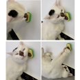 thumbnail image 3 of New Catnip Pure Natural Cats Candy Snack Ball Rotatable Toy Cat Molar Toothpaste Edible Bolus Teeth Cleaning Bite-resistant Toys, 3 of 7